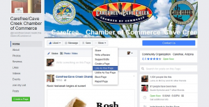 Like a Business Page