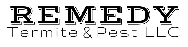 Remedy Termite and Pest Logo
