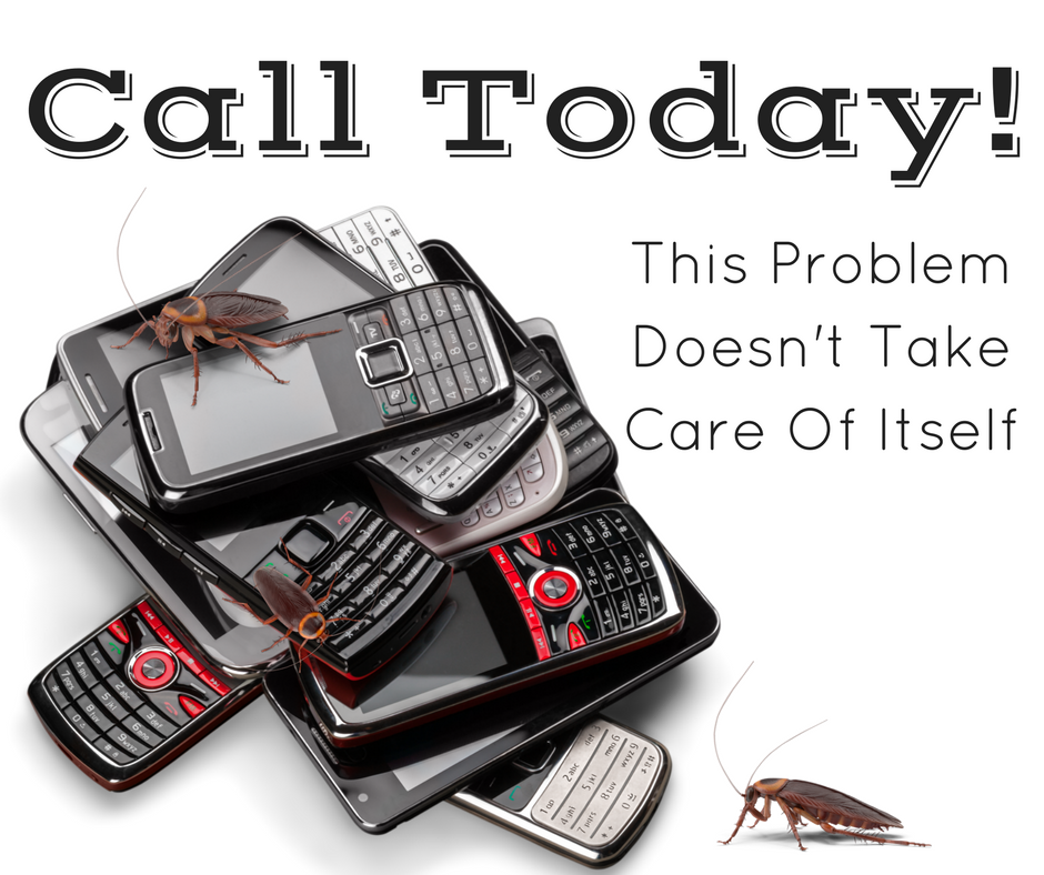 Call Today for Pest Contol