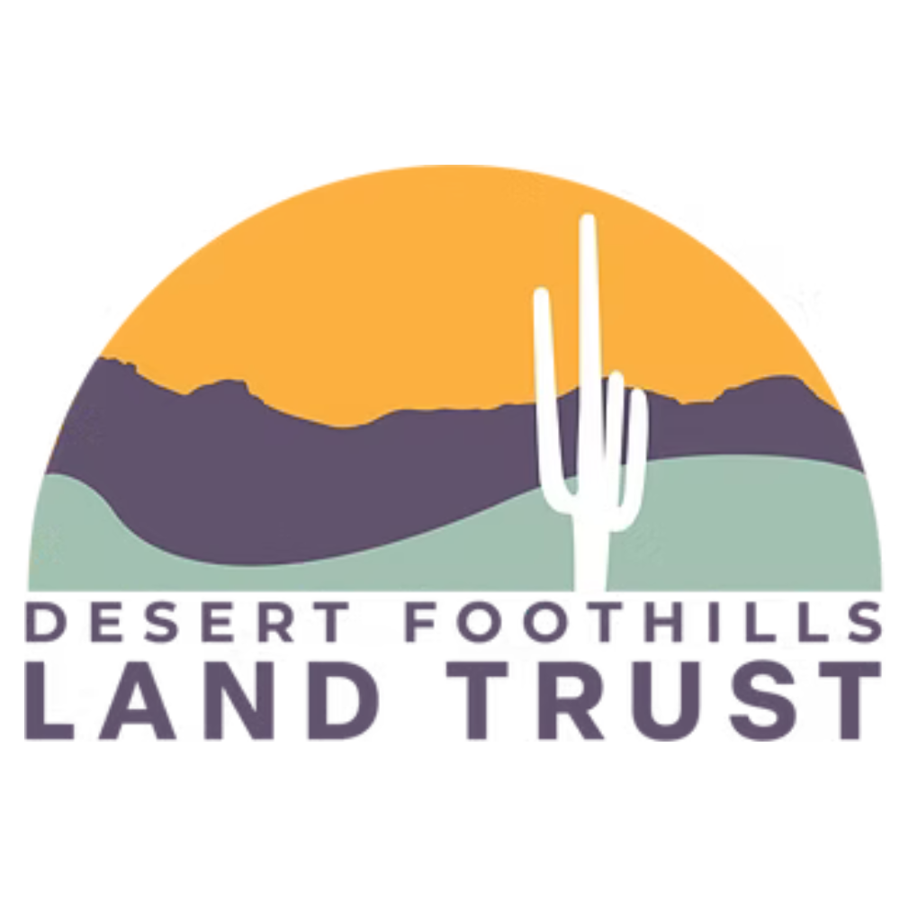 https://www.dflt.org/